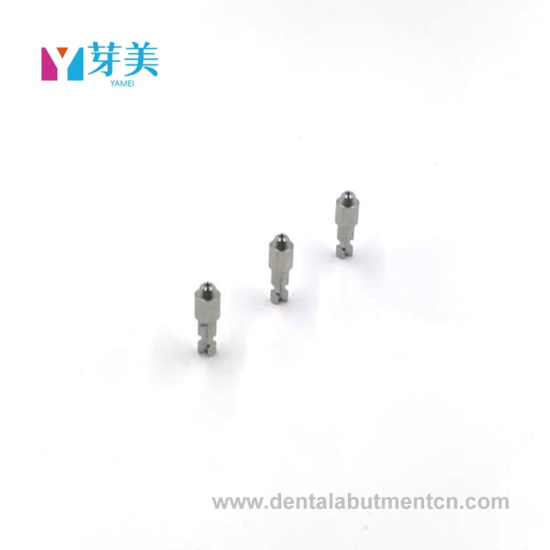 Implant Abutment